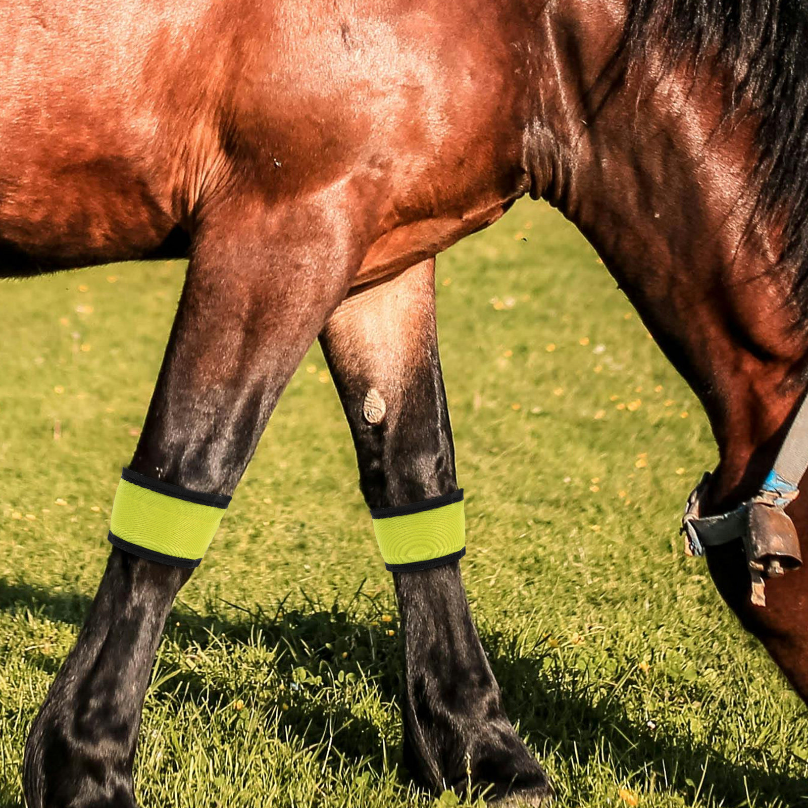 4 Pcs Cycling Bracelets Glowin - مراجعة Yellow Cycling Gear وسعره