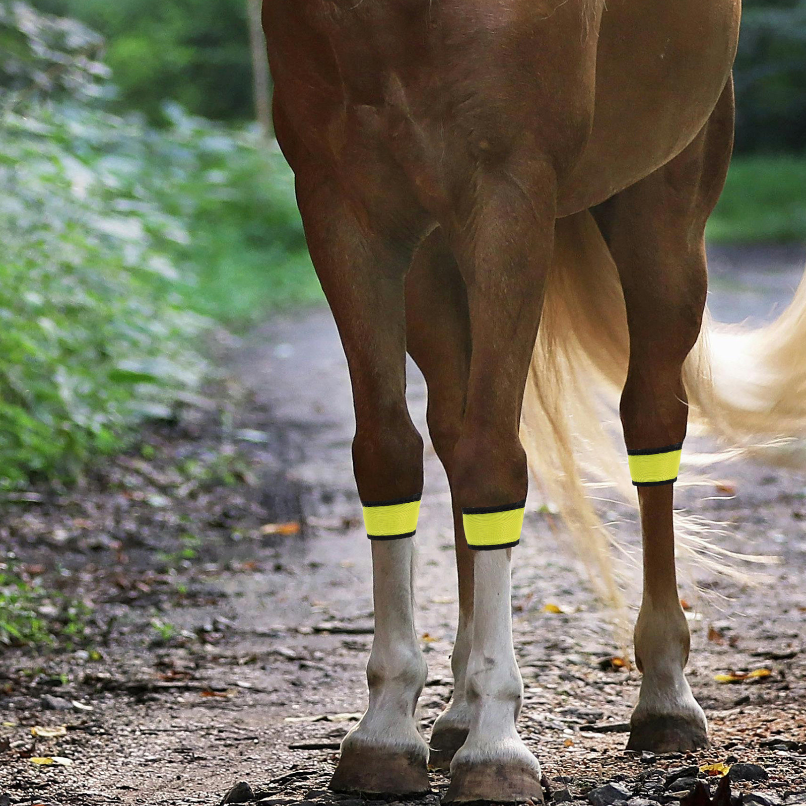 4 Pcs Cycling Bracelets Glowin - مراجعة Yellow Cycling Gear وسعره